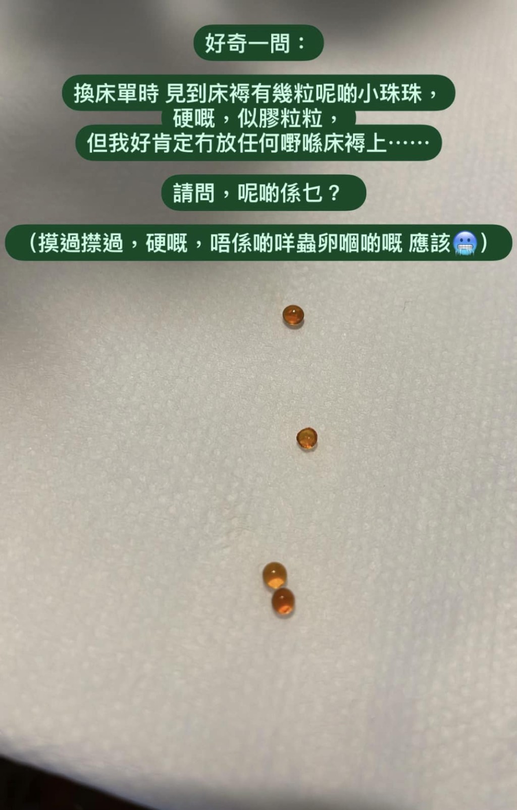 小仪发现床褥上出现数颗橙色珠粒，担心是虫卵。（图片来源：「Kitty Yuen Siu Yee 阮小仪」facebook专页）